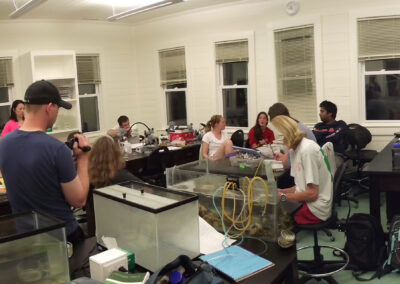 Science communication